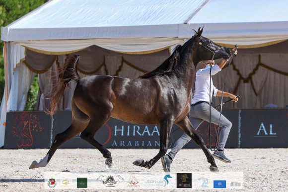 40ba3461-0ddd-47cc-9c67-c8021d865a51