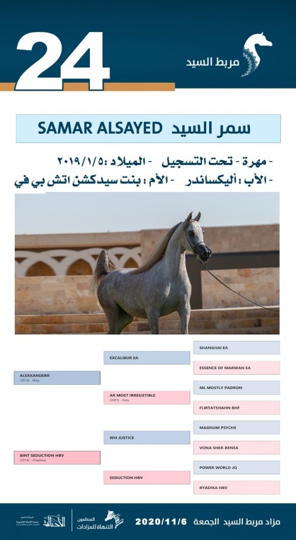 43357e37-edef-44e3-b0e9-5f4af6b9ab9c