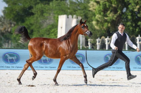 4677e150-f670-48c6-82d3-e53bc3a50cee