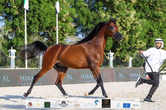 47dde95b-96a5-43a7-a642-d42aeaff112b-2