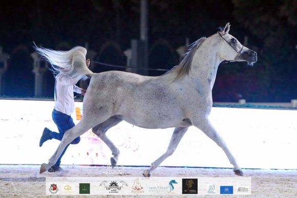 59816e40-4b7b-46b6-adea-e58370cccdd0