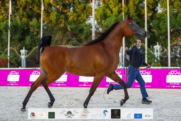 5e407995-cb5e-473e-a7ce-70564ee36be7