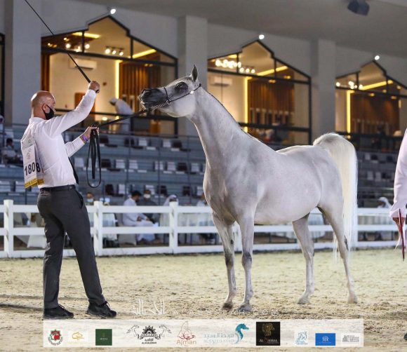 5f6d81ed-6daa-4127-9fde-f6c9043a5303