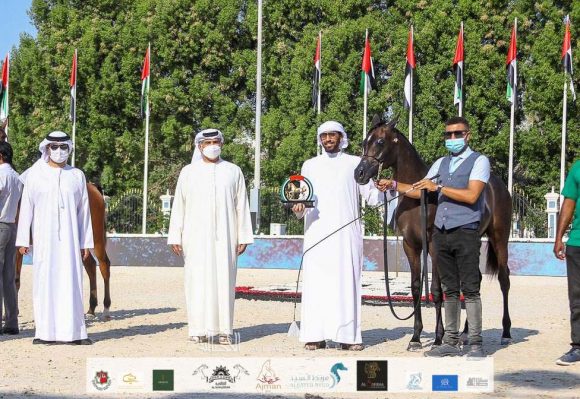 623552ea-f8f4-41ad-8482-86bf630facd4-2