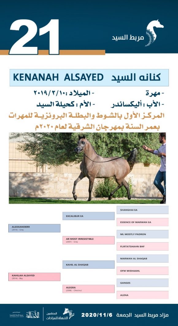 6643c4fe-e9cb-4c74-a172-16fee34e41f1