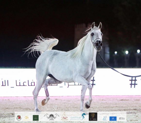 66da9822-f4be-4510-8e3d-e11e393a2d20