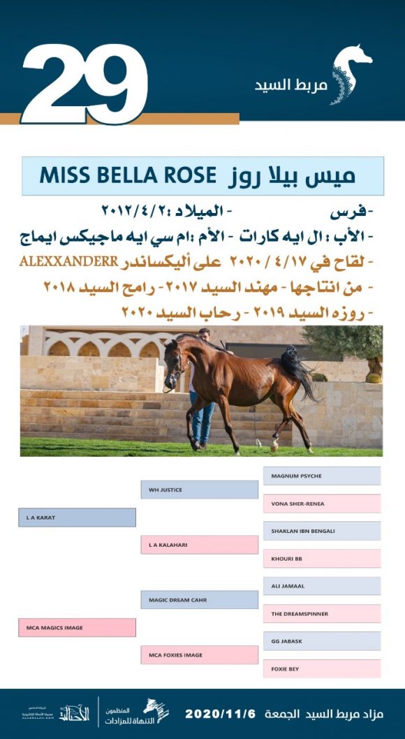 66dcb9ed-67d9-4df8-8be6-85a83fe028c0