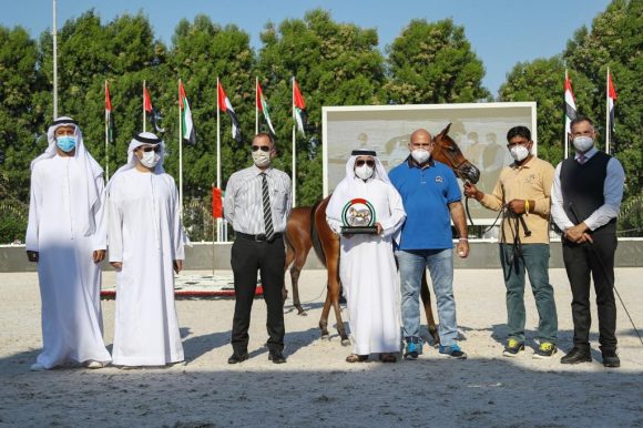 68c16885-ec8e-42be-8fd7-efe9e2c2a30c