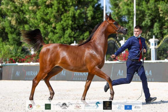 6917eb30-a2fa-4905-9553-79aa035a334f-2