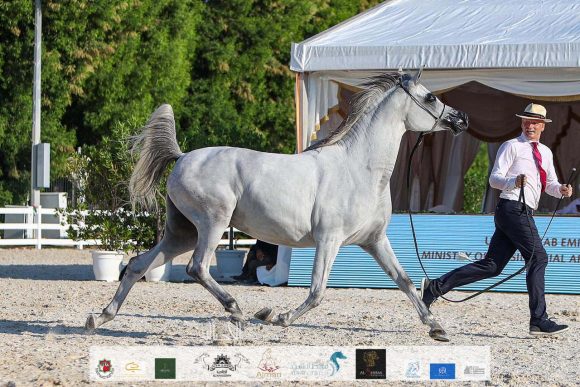 69509ee5-f952-43c1-aeca-854e42646ca0