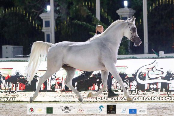 6c1ee3be-851f-4bac-9baf-ddeb398e25bf