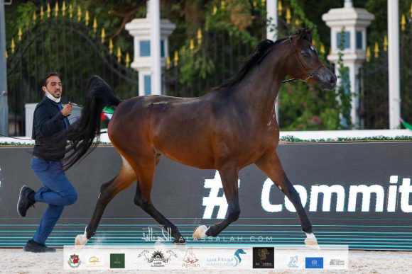 6ee12529-c812-4f49-bd2f-fc1baa9791a0