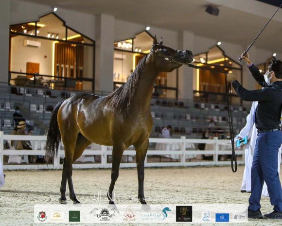 70df5f94-00e9-482d-81b2-0ef8fb6a8a04