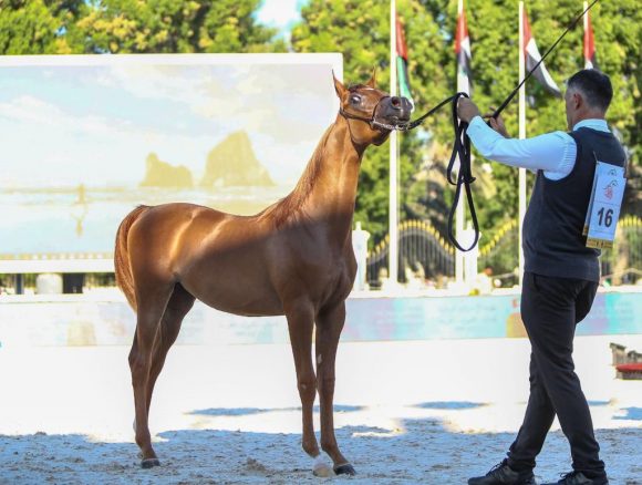 754da866-1b16-43d9-8d4b-11c615c2c5a3