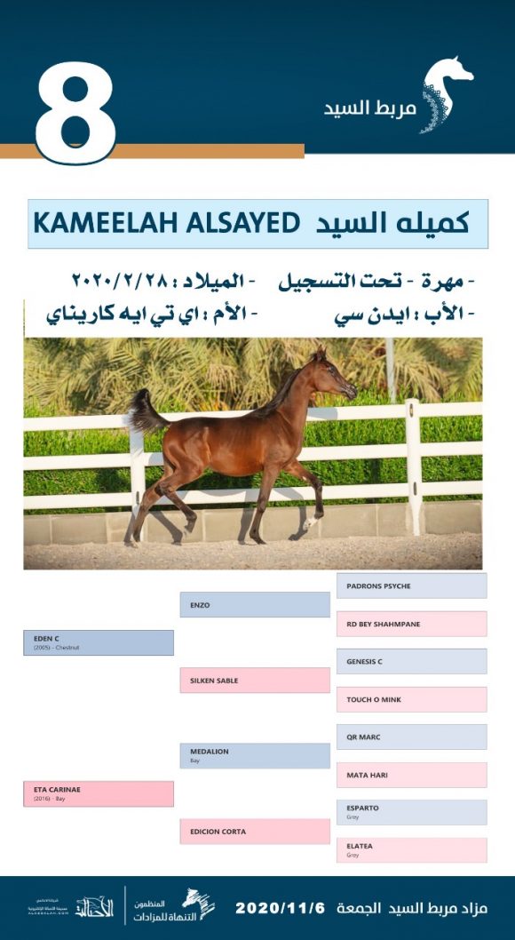 7733e703-59ea-4152-a20e-65bf422f36c9