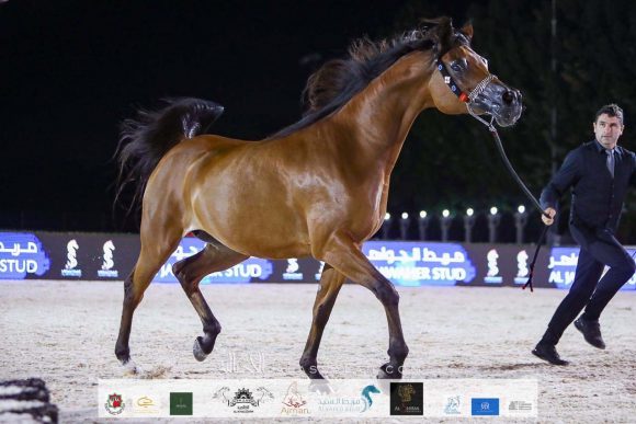 79b03d73-b683-4cce-9bee-9dea5b2868d8