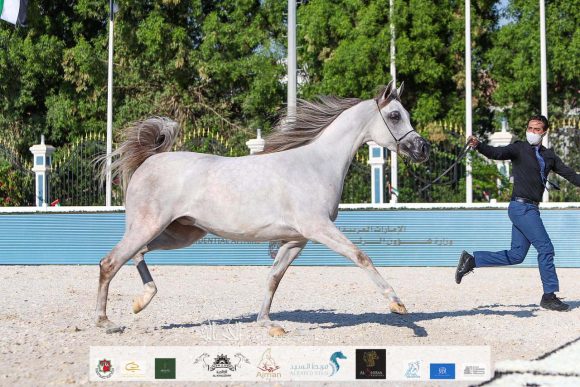 79b95efe-7229-4b8b-8df6-e2edfdc51393