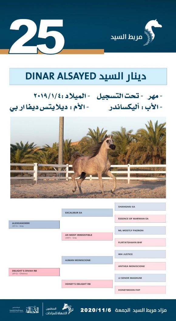 7bc1fc2e-d53f-4c0c-b759-c58a5a8a005e