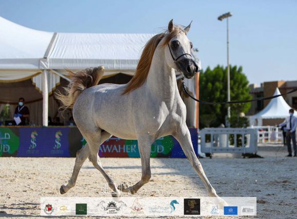 7d1a87e9-7858-4a80-9d5f-2563155bb478-2