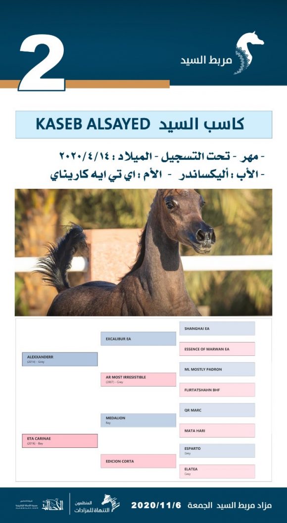 80624b06-ec99-4c73-a18e-94fcd3718feb