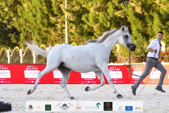 80d2962b-d59c-426e-a75a-c81095483cdf