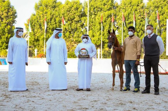 81dfaab5-515e-49ab-ab77-b161ffbc85b7