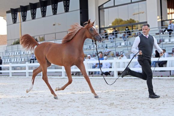 82352a34-e4d0-4e22-9d39-f3005886514e