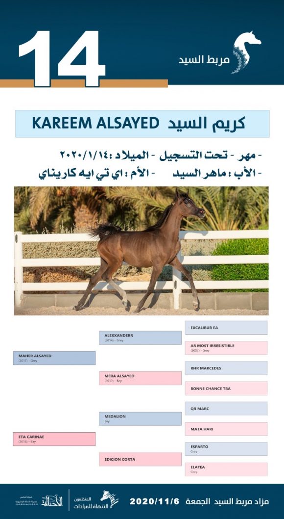 83f5c9c0-10bd-4b6a-9afb-19c7968a238d