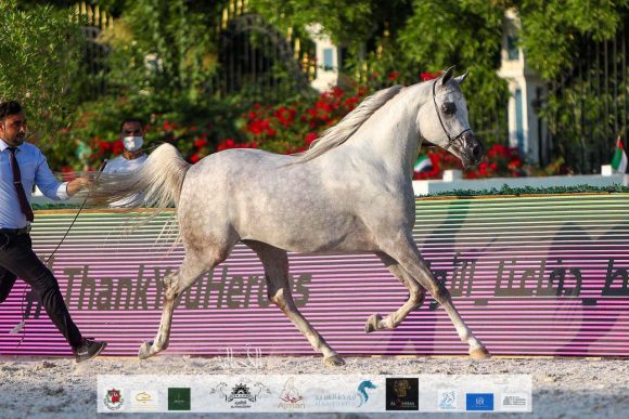 881a8211-fb70-4fb2-a563-592c3291565c-2