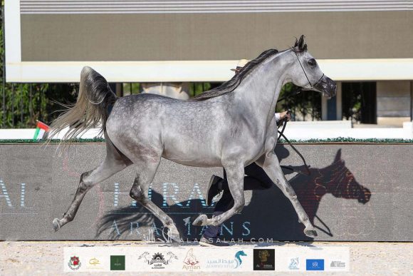 885efb9a-e16b-413b-9224-b2c37772671c