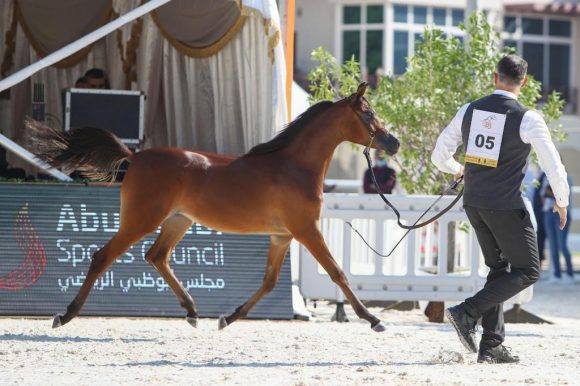 9029b4dc-34ae-4ac7-a9bc-f495ead9cdb9