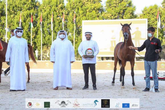 970eb3fb-54eb-45f8-8b4f-1f9ae9f187f8-2