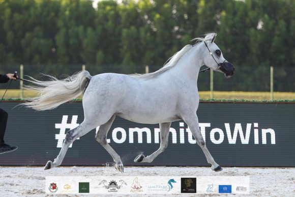 9b8a2366-dd74-40e4-b0c6-2a2598b24e58