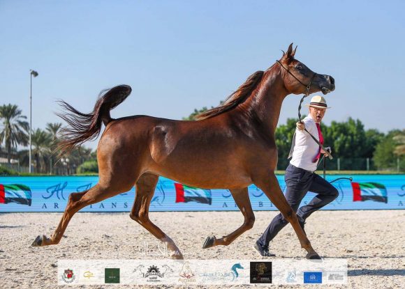 9ff86952-e2bb-4558-aa39-696171246195