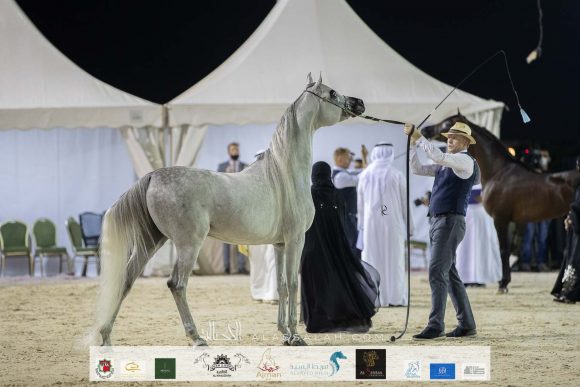 Photo 14-11-2020, 1 08 27 PM