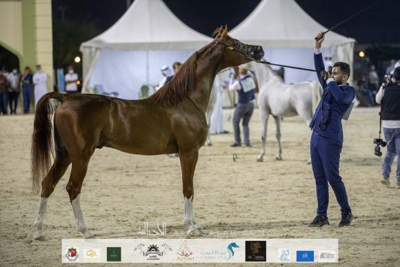 Photo 14-11-2020, 1 12 38 PM