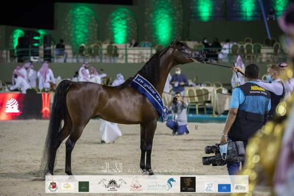 Photo 14-11-2020, 1 29 52 PM