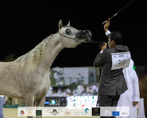 Photo 14-11-2020, 10 04 52 AM