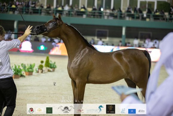 Photo 14-11-2020, 10 06 24 AM