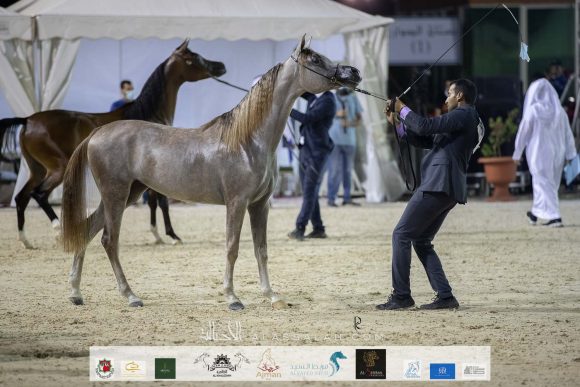 Photo 14-11-2020, 10 07 20 AM