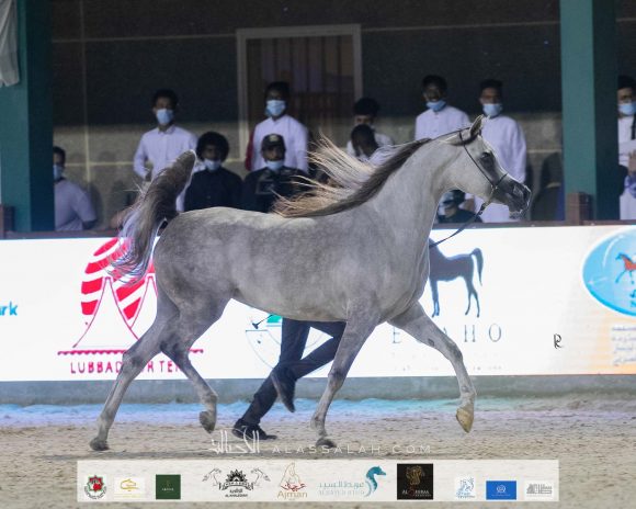 Photo 14-11-2020, 10 30 49 AM