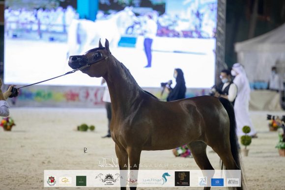 Photo 14-11-2020, 10 36 03 AM