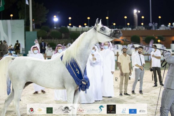 Photo 14-11-2020, 10 54 34 AM