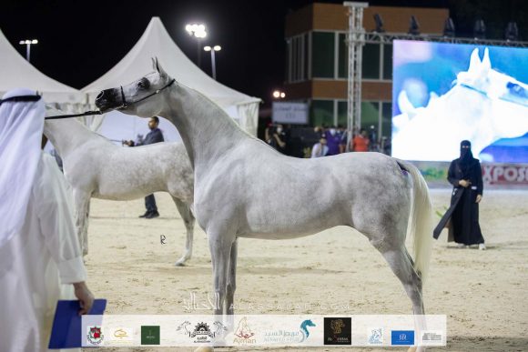 Photo 14-11-2020, 11 09 54 AM