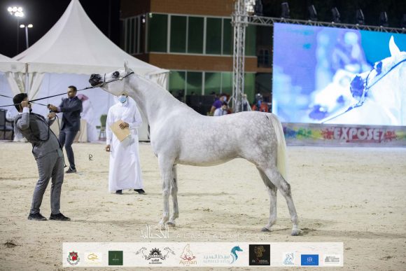 Photo 14-11-2020, 11 10 36 AM