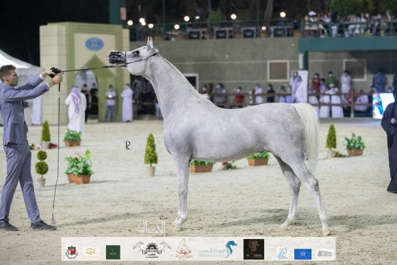 Photo 14-11-2020, 11 13 58 AM