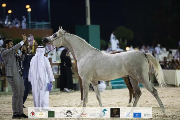 Photo 14-11-2020, 12 07 47 PM