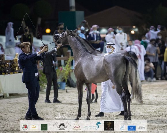 Photo 14-11-2020, 12 08 05 PM