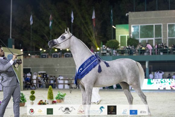 Photo 14-11-2020, 12 22 37 PM