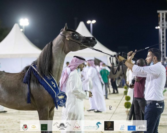 Photo 14-11-2020, 12 23 34 PM